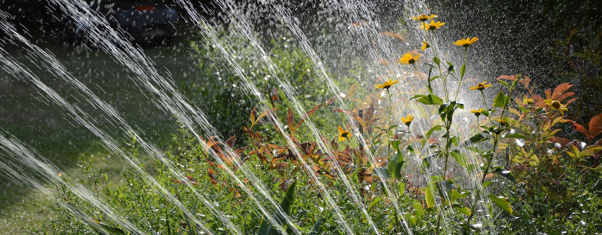 Utiliser l’eau de pluie pour arrosage automatique