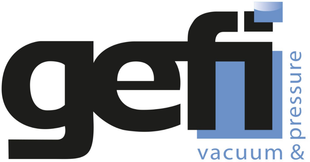 Logo GEFI